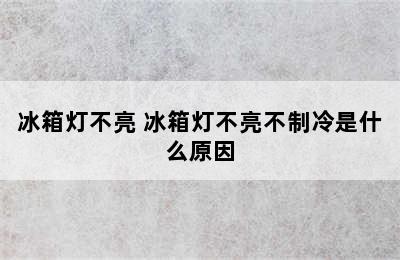 冰箱灯不亮 冰箱灯不亮不制冷是什么原因